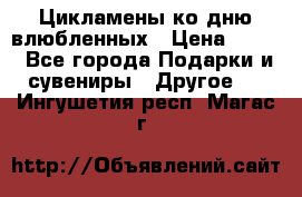 Цикламены ко дню влюбленных › Цена ­ 180 - Все города Подарки и сувениры » Другое   . Ингушетия респ.,Магас г.